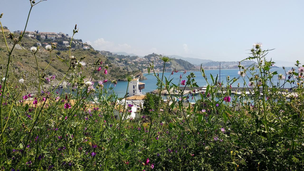 Lovely House With Views In Marina Del Holiday home Almunecar